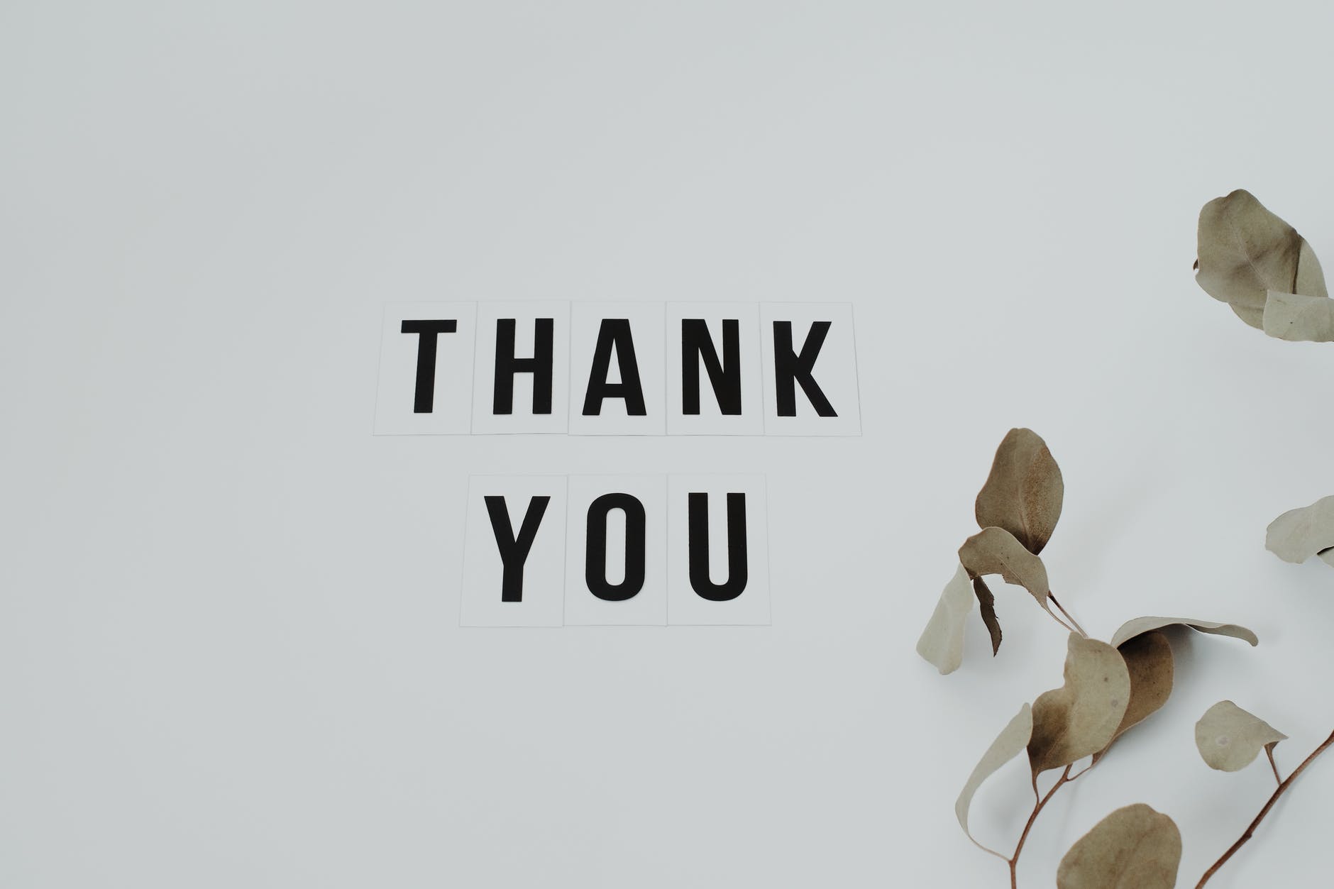 Large font with the words "Thank You".